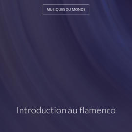 Introduction au flamenco