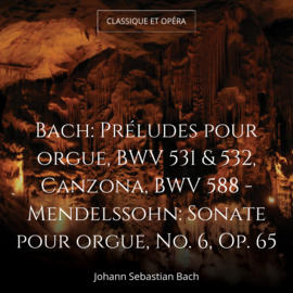 Bach: Préludes pour orgue, BWV 531 & 532, Canzona, BWV 588 - Mendelssohn: Sonate pour orgue, No. 6, Op. 65