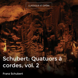 Schubert: Quatuors à cordes, vol. 2