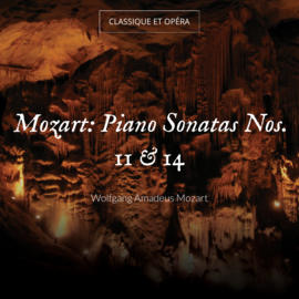 Mozart: Piano Sonatas Nos. 11 & 14