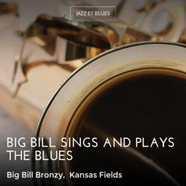 Big Bill Sings and Plays the Blues