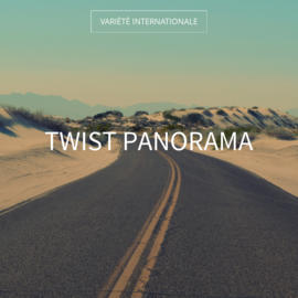 Twist Panorama