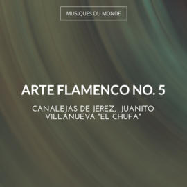 Arte Flamenco No. 5