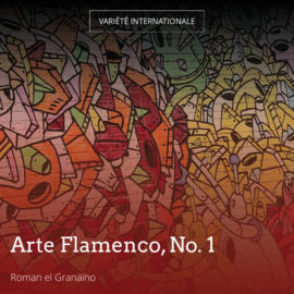 Arte Flamenco, No. 1