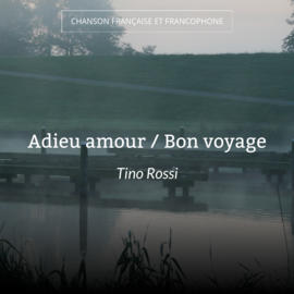Adieu amour / Bon voyage