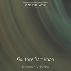 Guitare flamenco