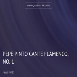 Pepe Pinto cante Flamenco, no. 1