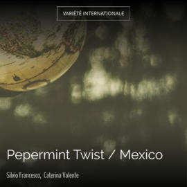 Pepermint Twist / Mexico
