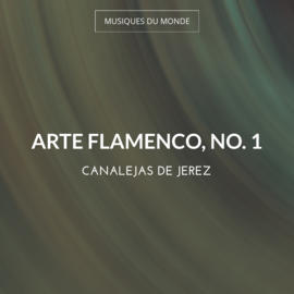 Arte Flamenco, No. 1
