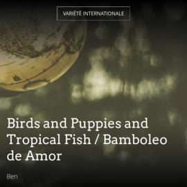 Birds and Puppies and Tropical Fish / Bamboleo de Amor
