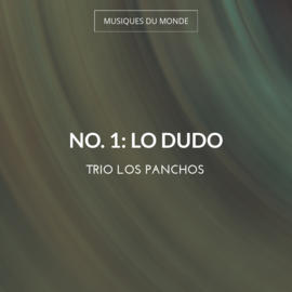 No. 1: Lo Dudo