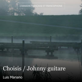 Choisis / Johnny guitare