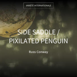 Side Saddle / Pixilated Penguin