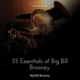 35 Essentials of Big Bill Broonzy