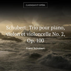 Schubert: Trio pour piano, violon et violoncelle No. 2, Op. 100