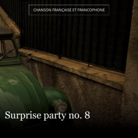 Surprise party no. 8