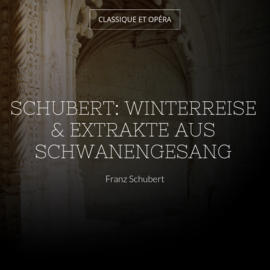 Schubert: Winterreise & Extrakte aus Schwanengesang