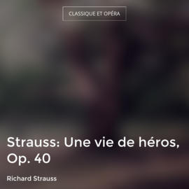 Strauss: Une vie de héros, Op. 40