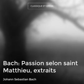 Bach: Passion selon saint Matthieu, extraits