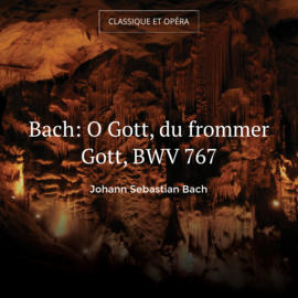 Bach: O Gott, du frommer Gott, BWV 767