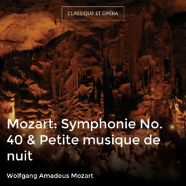 Mozart: Symphonie No. 40 & Petite musique de nuit