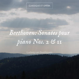 Beethoven: Sonates pour piano Nos. 2 & 11