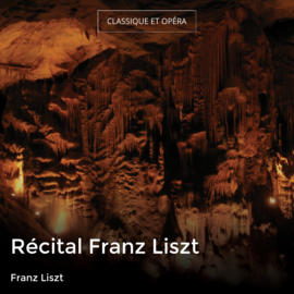 Récital Franz Liszt