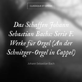 Das Schaffen Johann Sebastian Bachs: Serie F. Werke für Orgel (An der Schnitger-Orgel in Cappel)