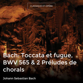 Bach: Toccata et fugue, BWV 565 & 2 Préludes de chorals