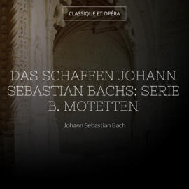 Das Schaffen Johann Sebastian Bachs: Serie B. Motetten