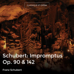 Schubert: Impromptus Op. 90 & 142
