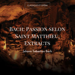 Bach: Passion selon Saint Matthieu, Extracts