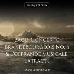 Bach: Concerto brandebourgeois No. 6 & L'offrande musicale, Extracts