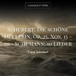 Schubert: Die schöne Müllerin, Op. 25, Nos. 15 - 20 - Schumann: 10 Lieder