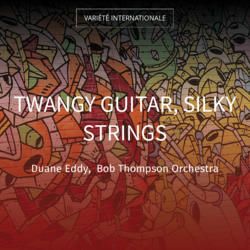 Twangy Guitar, Silky Strings