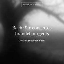 Bach: Six concertos brandebourgeois