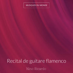 Recital de guitare flamenco