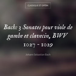Bach: 3 Sonates pour viole de gambe et clavecin, BWV 1027 - 1029