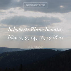 Schubert: Piano Sonatas Nos. 2, 9, 14, 16, 19 & 21