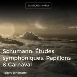 Schumann: Études symphoniques, Papillons & Carnaval