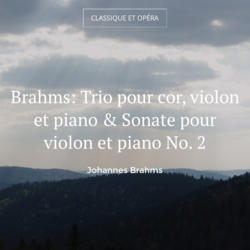 Brahms: Trio pour cor, violon et piano & Sonate pour violon et piano No. 2