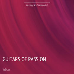 Guitars of Passion