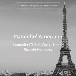 Mandolin' Panorama