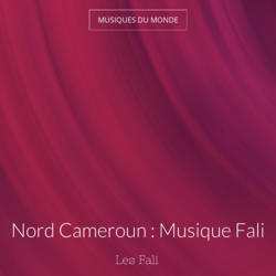 Nord Cameroun : Musique Fali