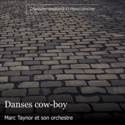 Danses cow-boy