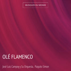 Olé Flamenco