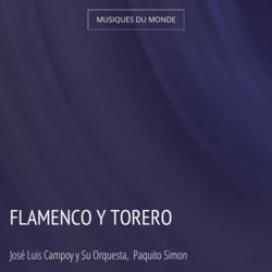 Flamenco y Torero