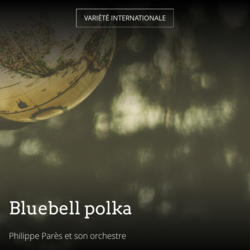 Bluebell polka