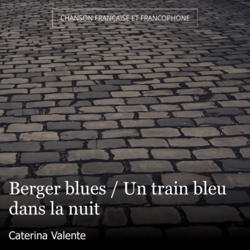Berger blues / Un train bleu dans la nuit