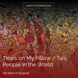 Tears on My Pillow / Two People in the World